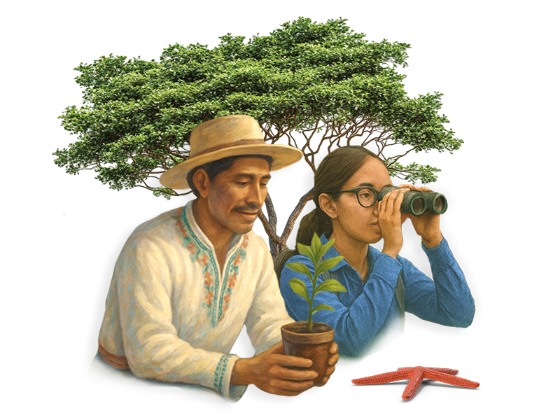 Ilustración relacionada con áreas naturales protegidas