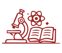 Categoría Académica y/o Investigación